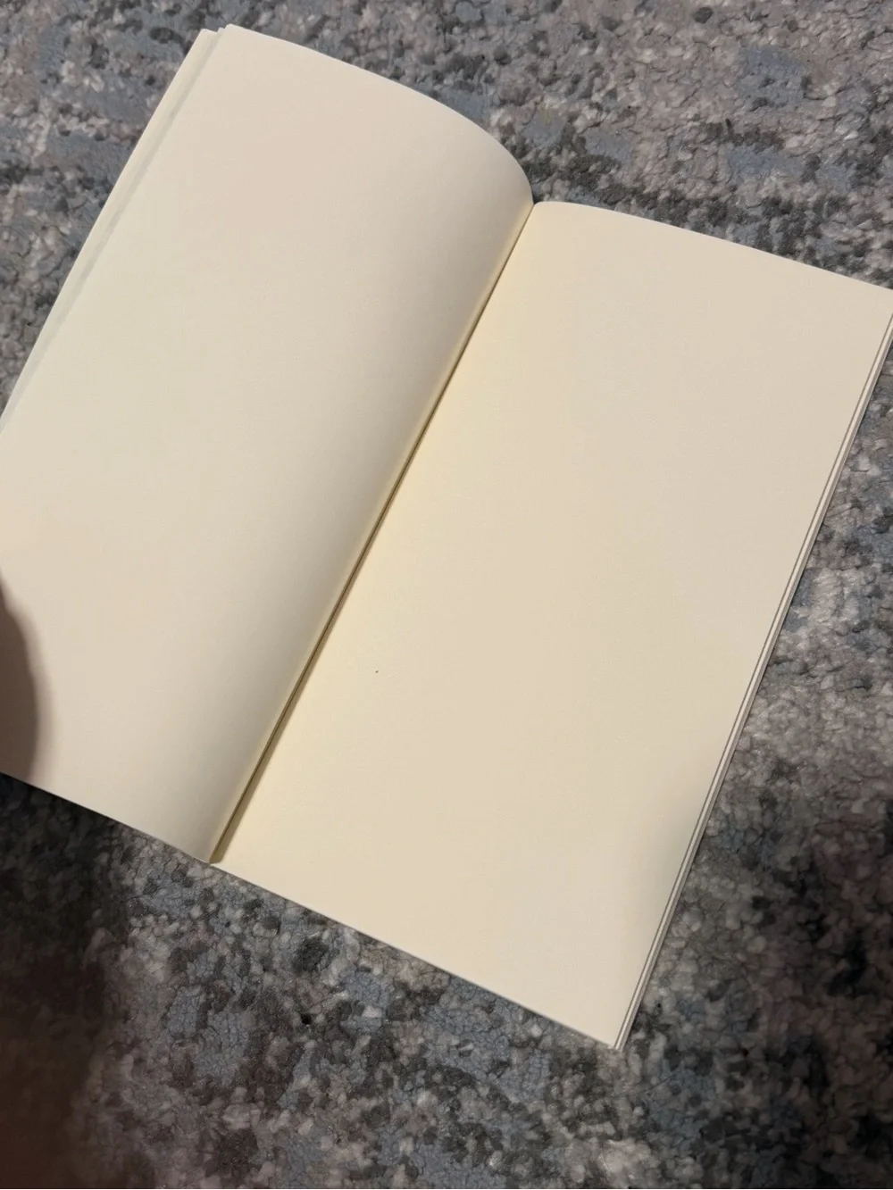 Starbucks Reserve Roastery Traveler's Company Nakameguro Guide Notebook